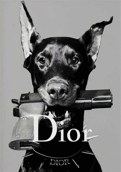 dior hond